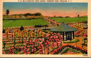 New York Syracuse Thornden Park E M Mills Municipal Rose Garden 1942