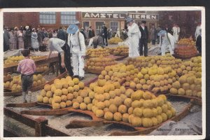 Netherlands Postcard - Alkmaar - Kaasmarkt    RS2355