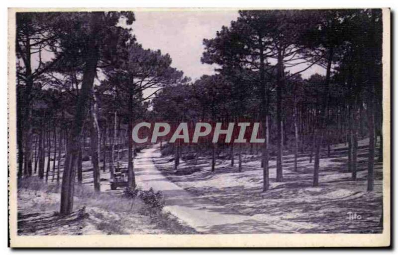 The Moulleau Old Postcard Route Corniche The Abatilles