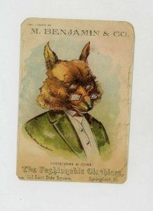 1880 Anthropomorphic Fox M Benjamin & Co Victorian Trade Card Springfield IL 