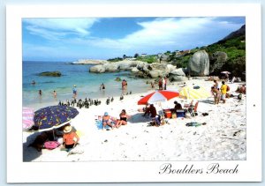 BOULDERS BEACH, Simons Town South Africa ~ JACKASS PENGUINS 4x6 Postcard