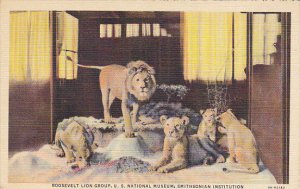 Roosevelt Lion Group National Museum Smithsonian Institution Curteich