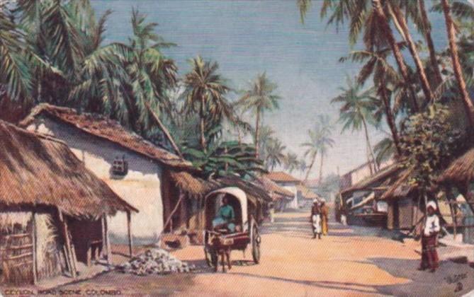 Sri Lanka Ceylon Colombo Road Scene 1909 Tucks