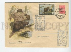 435066 USSR 1960 year Komarov Protect useful animals beavers postal COVER