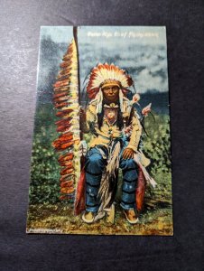 Mint USA Native American Indian Postcard Celen Kiya Chief Flying Hawk