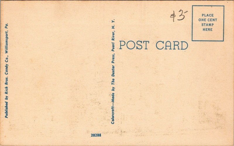 Vtg Williamsport Pennsylvania PA US Post Office 1930s Linen Postcard