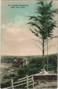 PC Een groote Arenboom nabij een rivier INDONESIA (a18253)