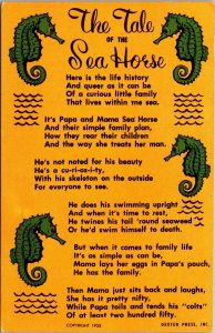 The Tale Of The Sea Horse