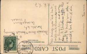 Christmas Pretty Woman Fancy Reading Card Holly Winsch c1900s-20s Postcard