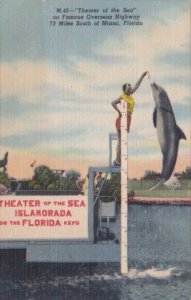 Florida Islamorada Theater Of The Sea Jumping Porpoise In The Florida Keys Cu...