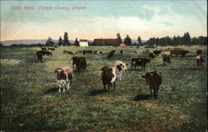 Oregon OR Dairy Farm Cows Clatsop County 1900s-20s Vintage Postcard