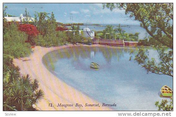 Mangrove Bay , SOMERSET, Bermuda, PU-1951