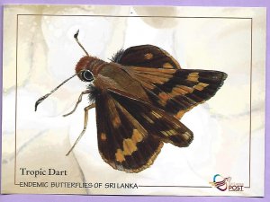SRI LANKA ENDEMIC BUTTERFLY - SRI LANKA TROPIC DART  - MAIL CARD FROM SRI LANKA