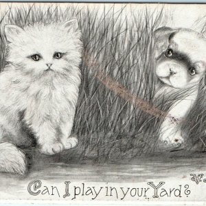 1909 Cute Puppy & Kitten Play Postcard Can I Play Adorable Cat Dog Lovely A39