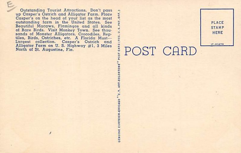 Casper's Ostrich and Alligator Farm Morning Exercise St Augustine FL