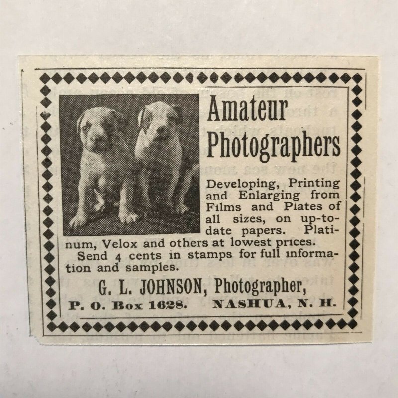 Victorian 1899 Print Ad Photographer G.L. Johnson 2V1-29 