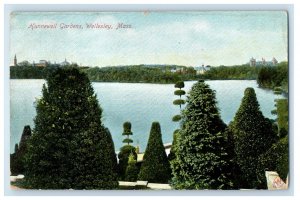 c1905 Wellesley MA, A View Of Hunnewell Gardens Wellesley Unposted Postcard