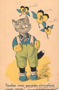 Drawn dressed cat comic caricature artist gretings postcard France 1941