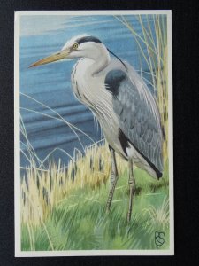 Bird Theme HERON Artist Rein Stuurman c1950s Postcard by R.S.P.B.