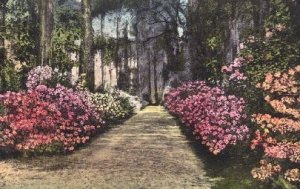 Wellesley Manor - Savannah, Georgia GA