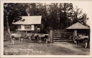 Duncan BC Fauvic Jersey Farm Cattle Cows Willett FA Monk RPPC Postcard H29