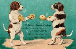 1870's-80's Dr Henley's English Dandelion Tonic Quack Medicine Boxing Dogs F48