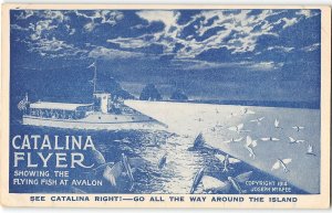 CATALINA FLYER Flying Fish, Avalon, Catalina Island Excursion Boat 1914 Postcard