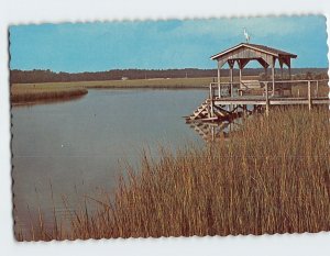 Postcard Tidal Creek Low Country South Carolina USA