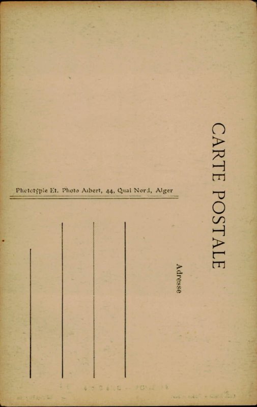 B577 Algeria Blida sacred wood postcard