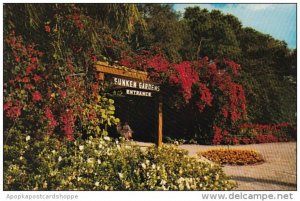 Florida Saint Petersburg Sunken Gardens Of Saint Petersburg