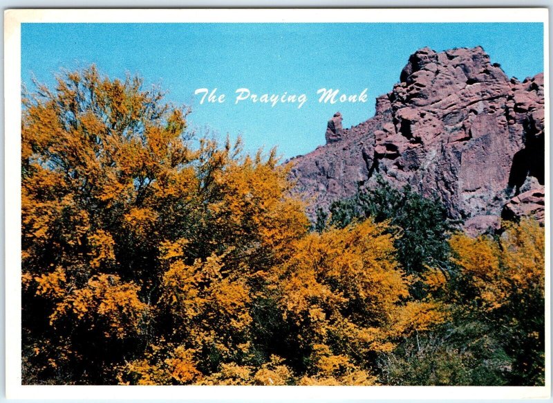 c1970s Phoenix, AZ Palo Verde The Praying Monk Paradise Valley 4x6 N.L Avery M10