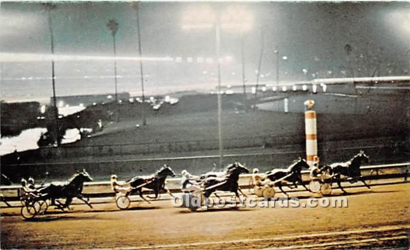  Inglewood, California, CA, USA Horse Racing Postcard Western Harness Racing,...