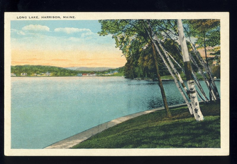 Harrison, Maine/ME Postcard, Long Lake, White Birches Along Shore