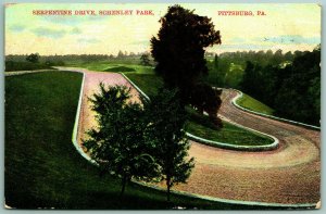 Serpentine Drive Schenley Park Pittsburg Pennsylvania PA 1908 DB Postcard C14