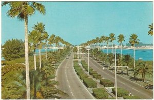 Memorial Causeway, Looking West, Clearwater, Florida, Vintage Chrome Postcard