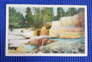 Vintage Angel Terrace Yellowstone Park Mammoth Hot Springs Area Wyoming Postcard