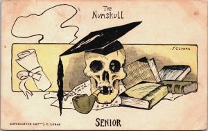 The Numskull Senior JC Lynas Pipe Smoking Advertisement Postcard C050