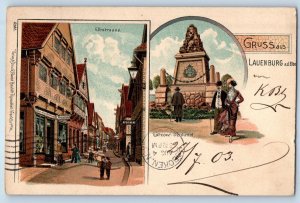 Germany Postcard Greetings from Lauenburg on the Elbe Multiview 1903