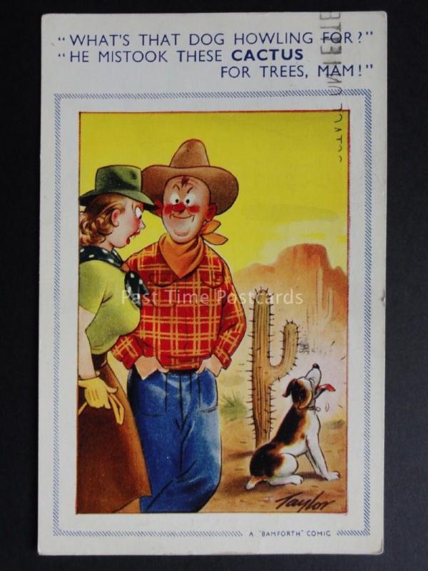 TAYLOR Bamforth & Co: Cowboy & Dog DOG HOWLING, HE MISSED THE CACTUS No.1065