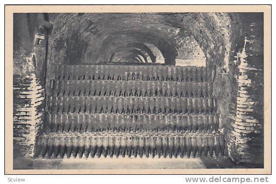 Une mase de 120,000 bouteilles, Champagne, France, 10-20s