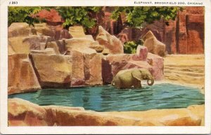 'Timbo' the Elephant Brookfield Zoo Chicago IL Illinois Unused Postcard F85
