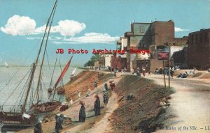 Egypt, Louqsor, Luxor, Nile River Banks, No 10