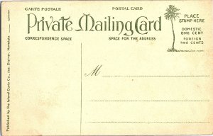 Hawaiian Islands Mango Fruits Private Mailing Card Postcard c1907