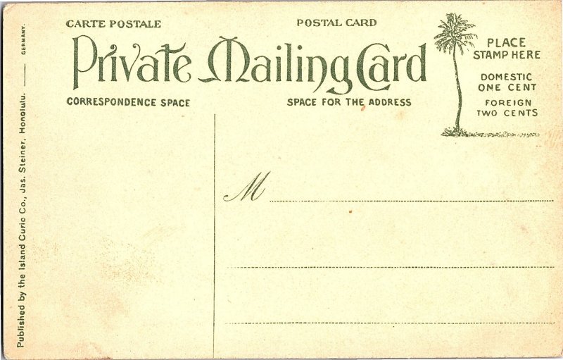 Hawaiian Islands Mango Fruits Private Mailing Card Postcard c1907