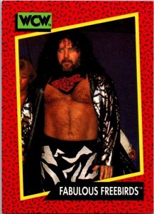 1991 WCW WRestling Card Fabulous Freebirds sk21188