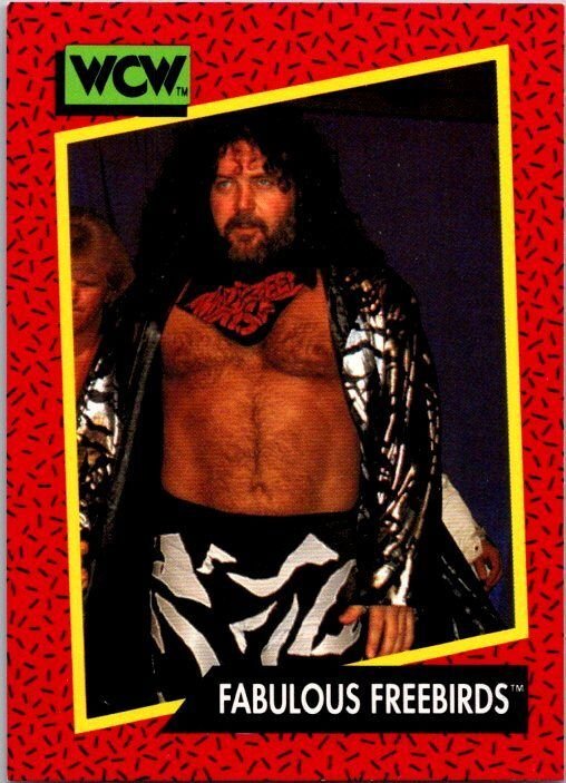 1991 WCW WRestling Card Fabulous Freebirds sk21188