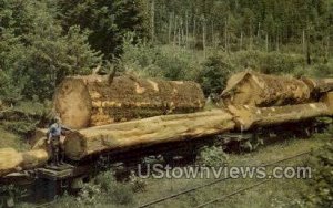 Logging Train - Misc, Oregon OR  