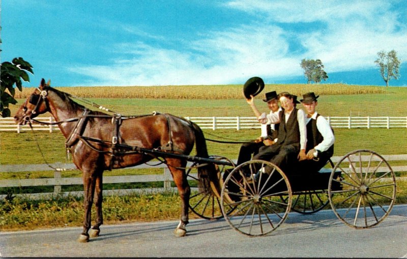 The Amish Courting Buggy