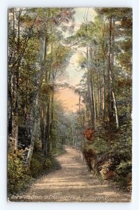 Drive at Ethan Allen Park Burlington Vermont VT 1911 DB Postcard P14