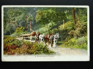 Country Life A FOREST GIANT'S FUNERAL Shire Horse & Tree Felling c1908 Postcard